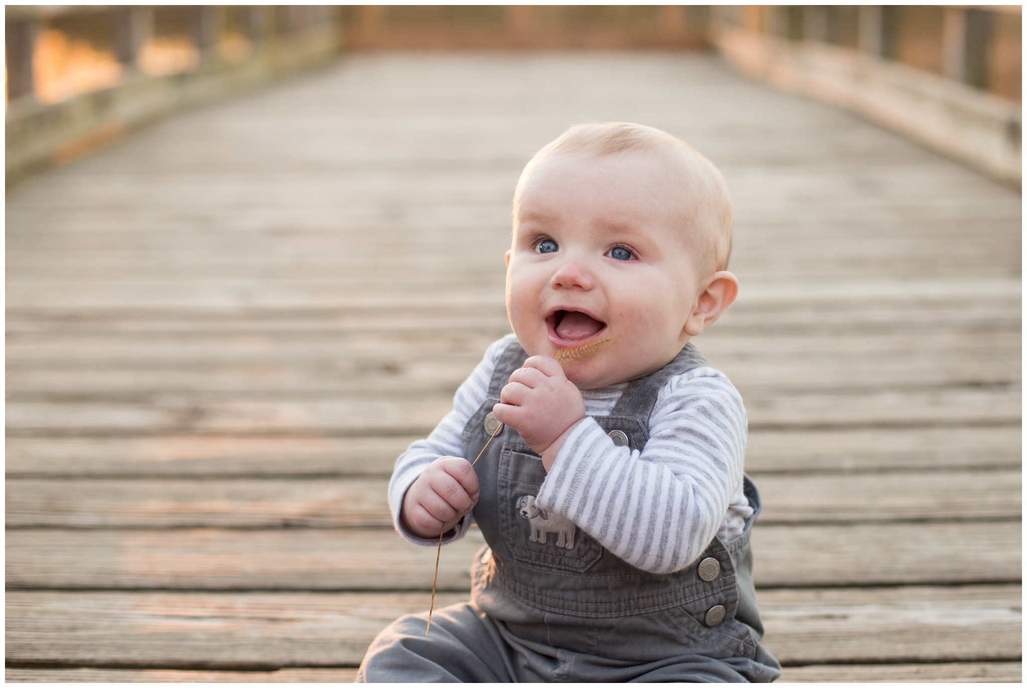 infant boy during family portraits in Kokomo, Indiana