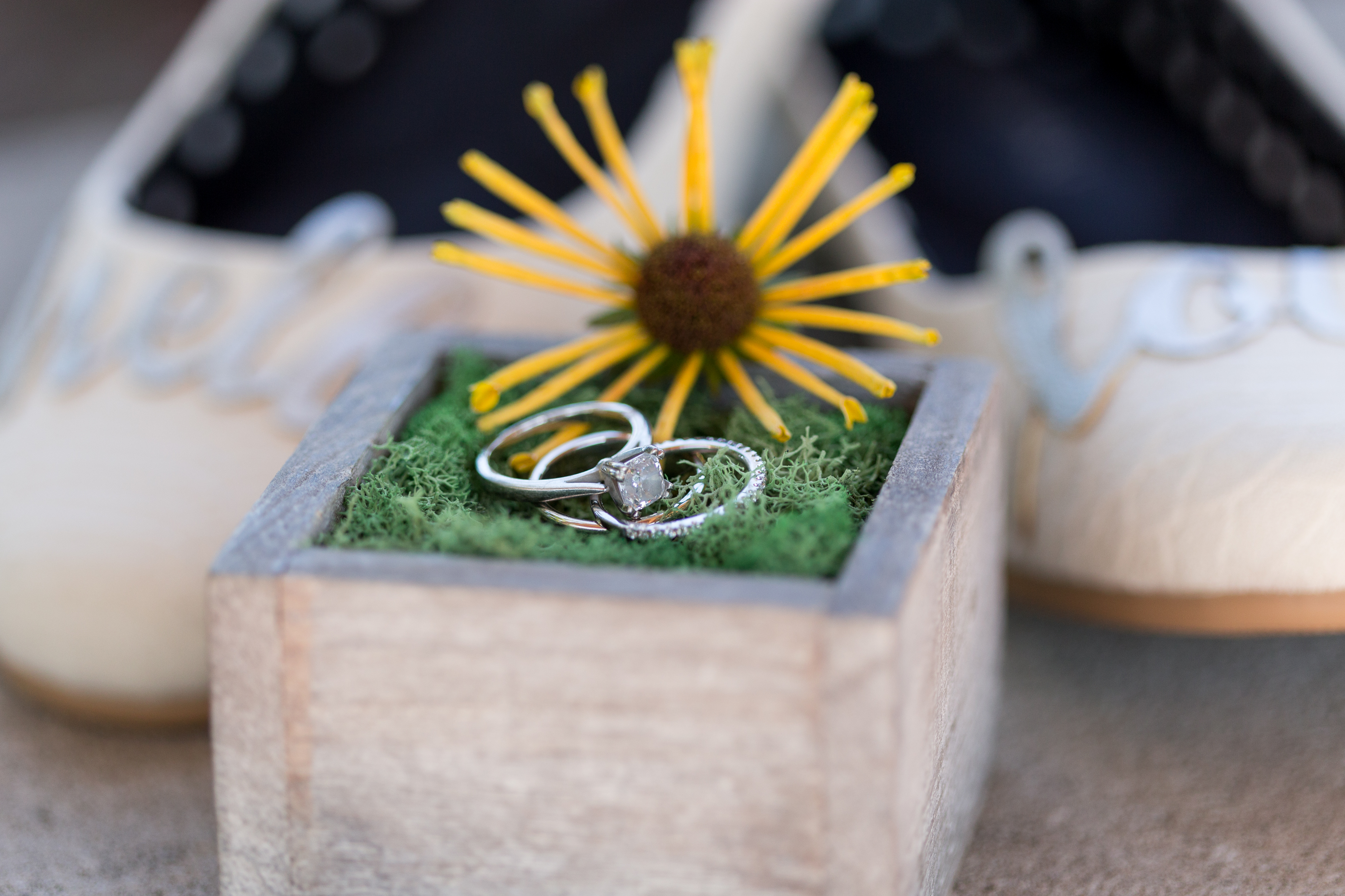 wedding rings in box for Muncie Indiana wedding