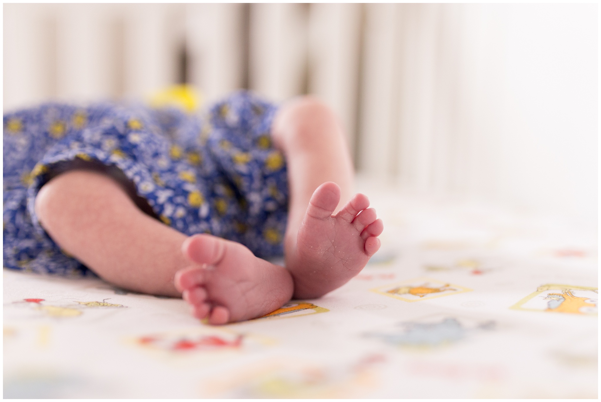 baby feet in crib during Indianapolis newborn lifestyle session