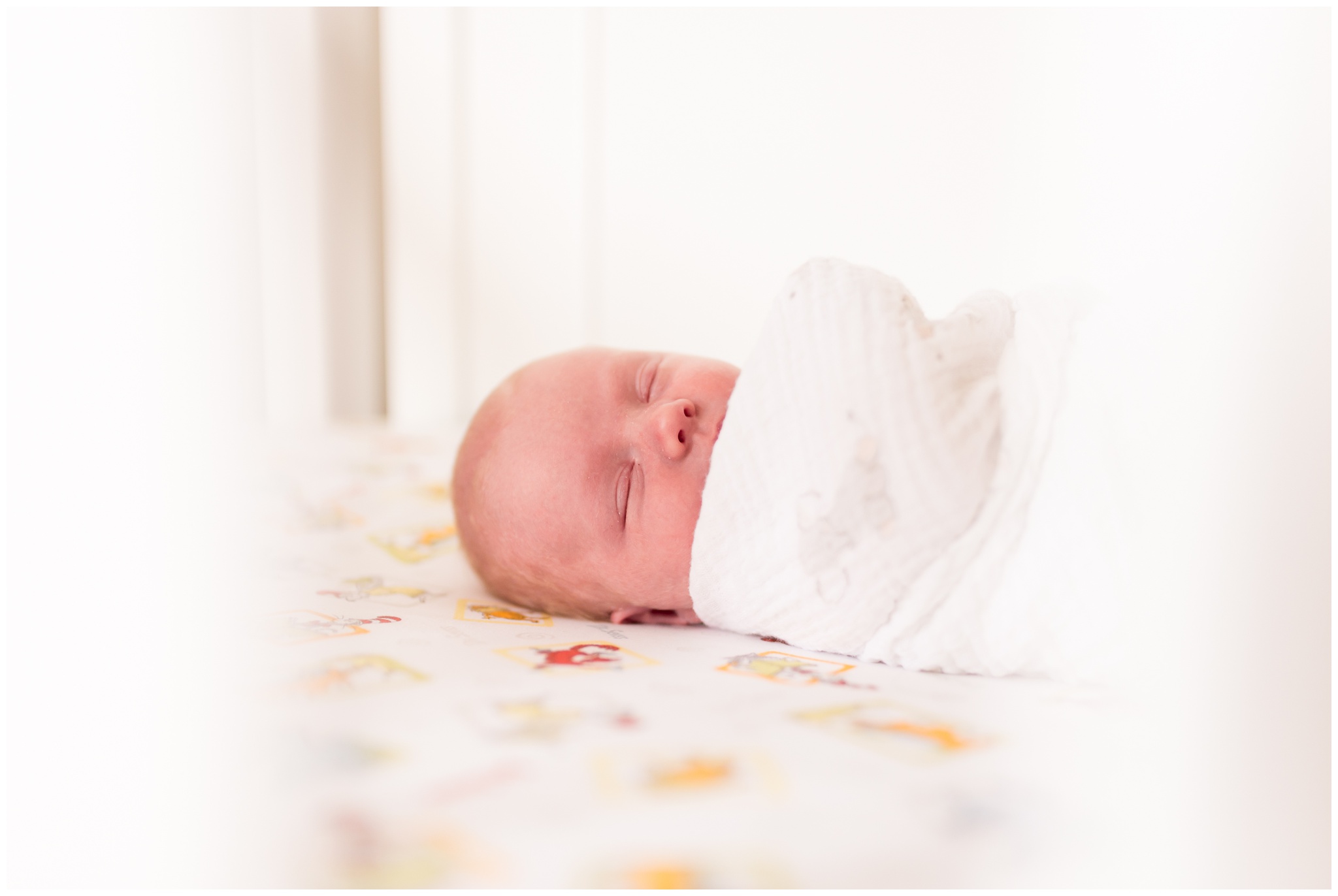 baby swaddled in crib during Indianapolis newborn photography session