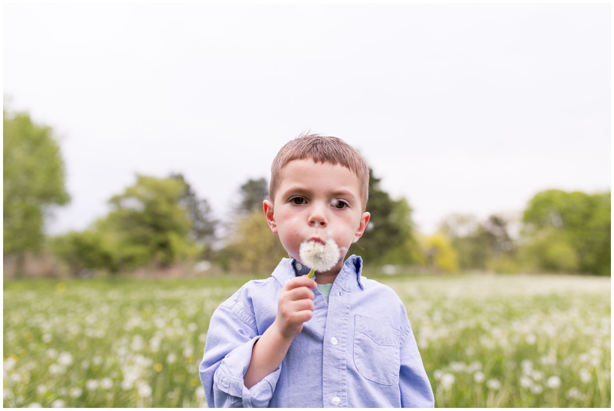 boy blows dandelion at Wildkat Creek Reservoir Park in Kokomo Indiana