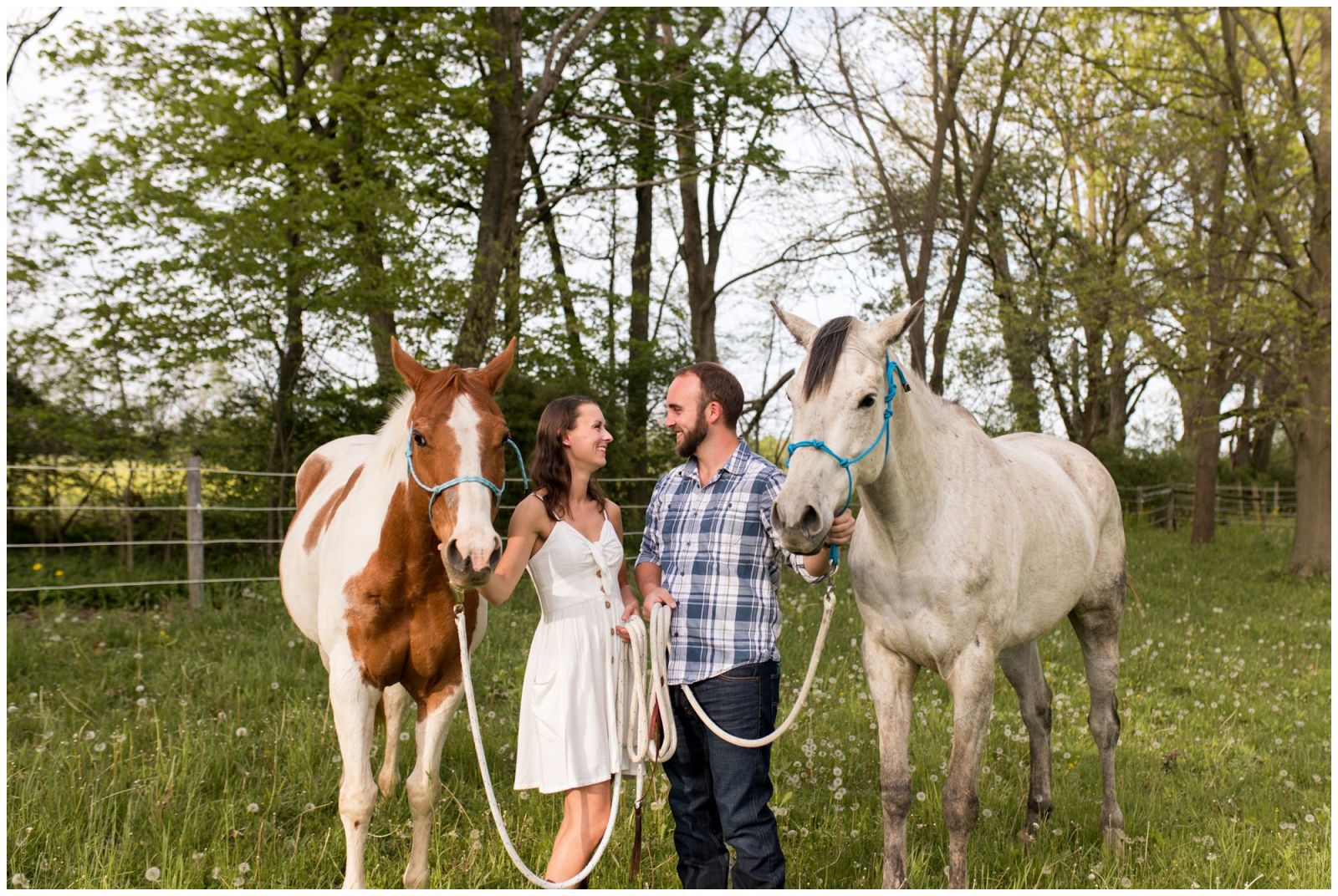 bride and groom with horses during engagement session in Indianapolis