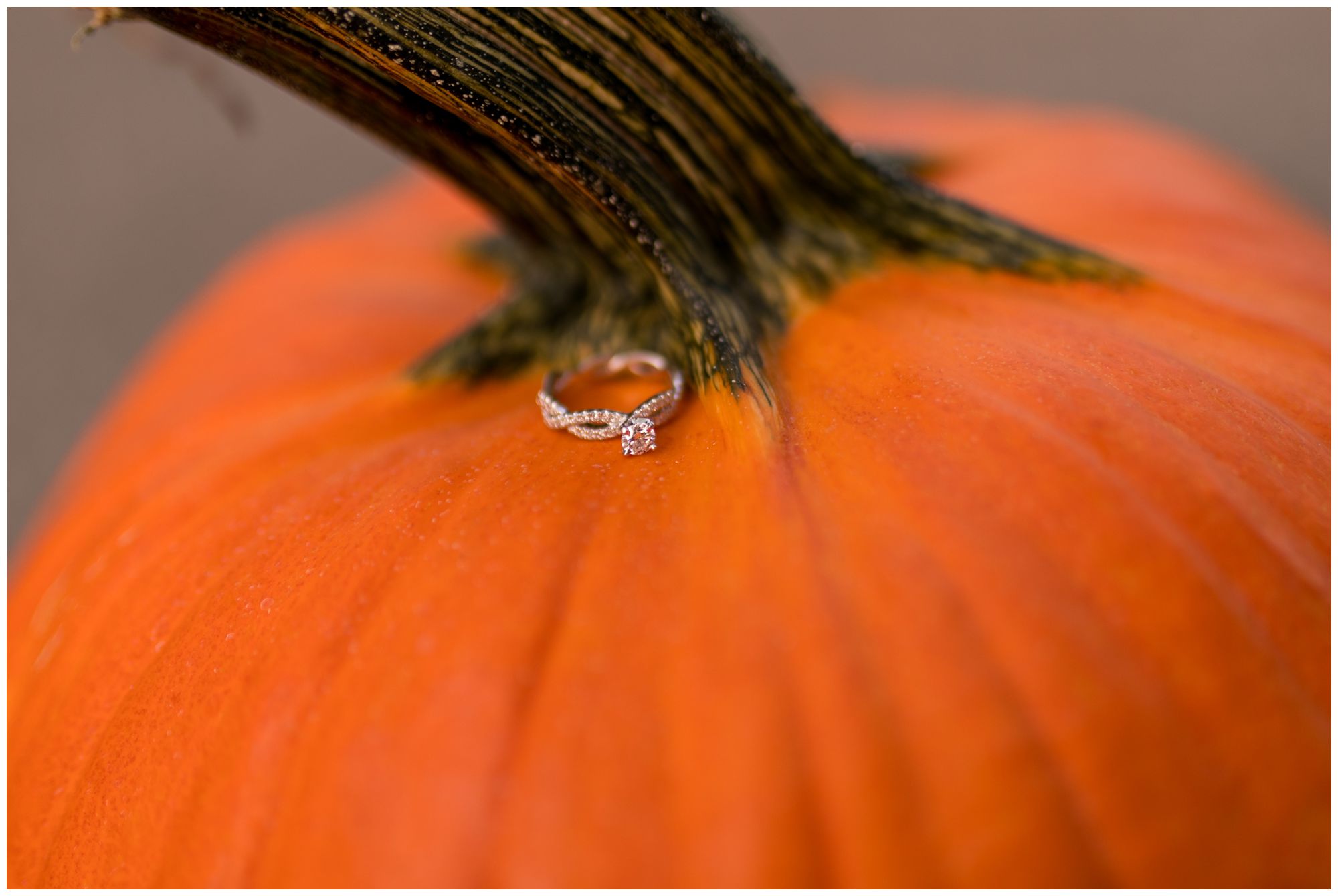 engagement ring on top of pumpkin at Fort Wayne engagement session