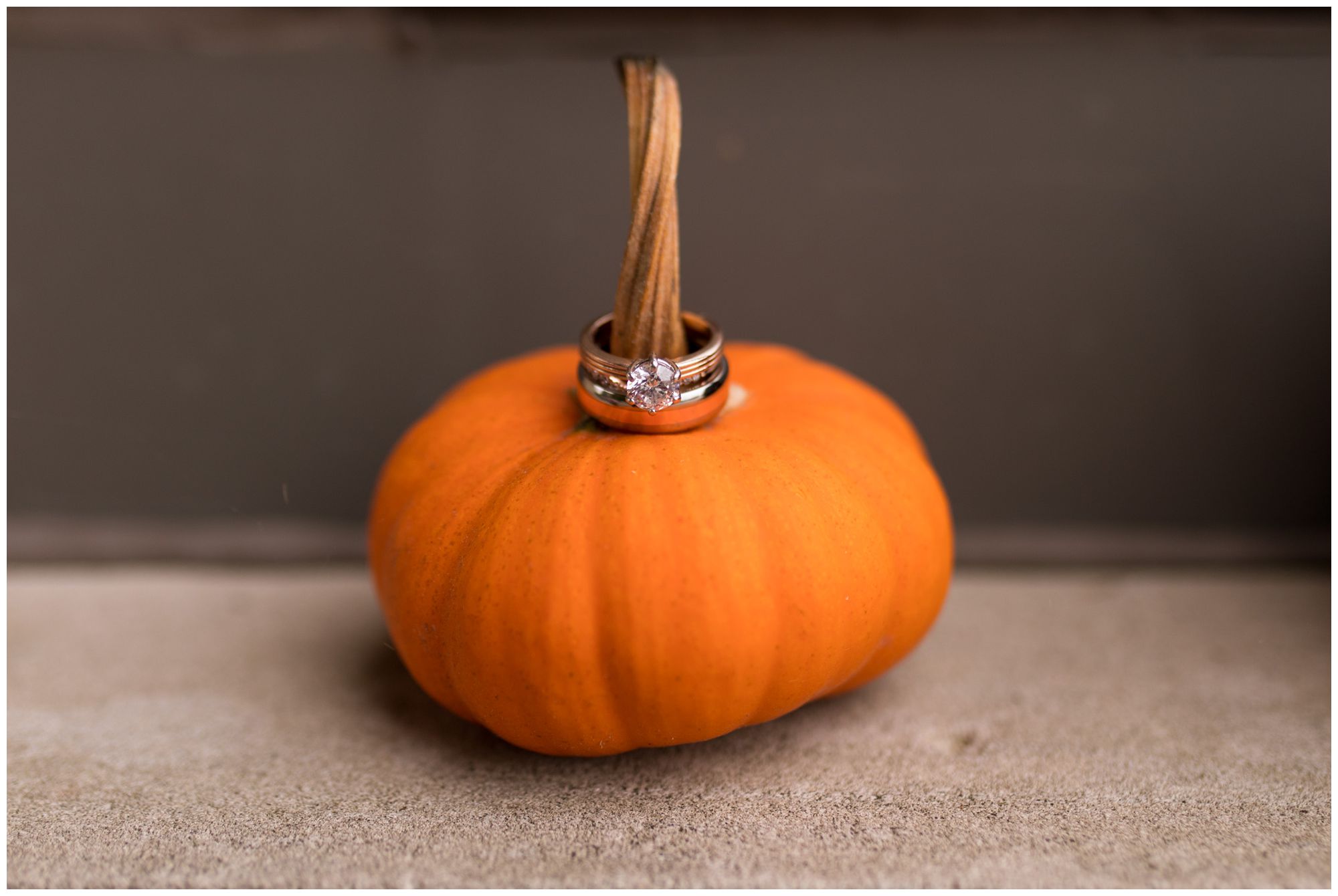 bride and groom rings around pumpkin in Decatur Indiana