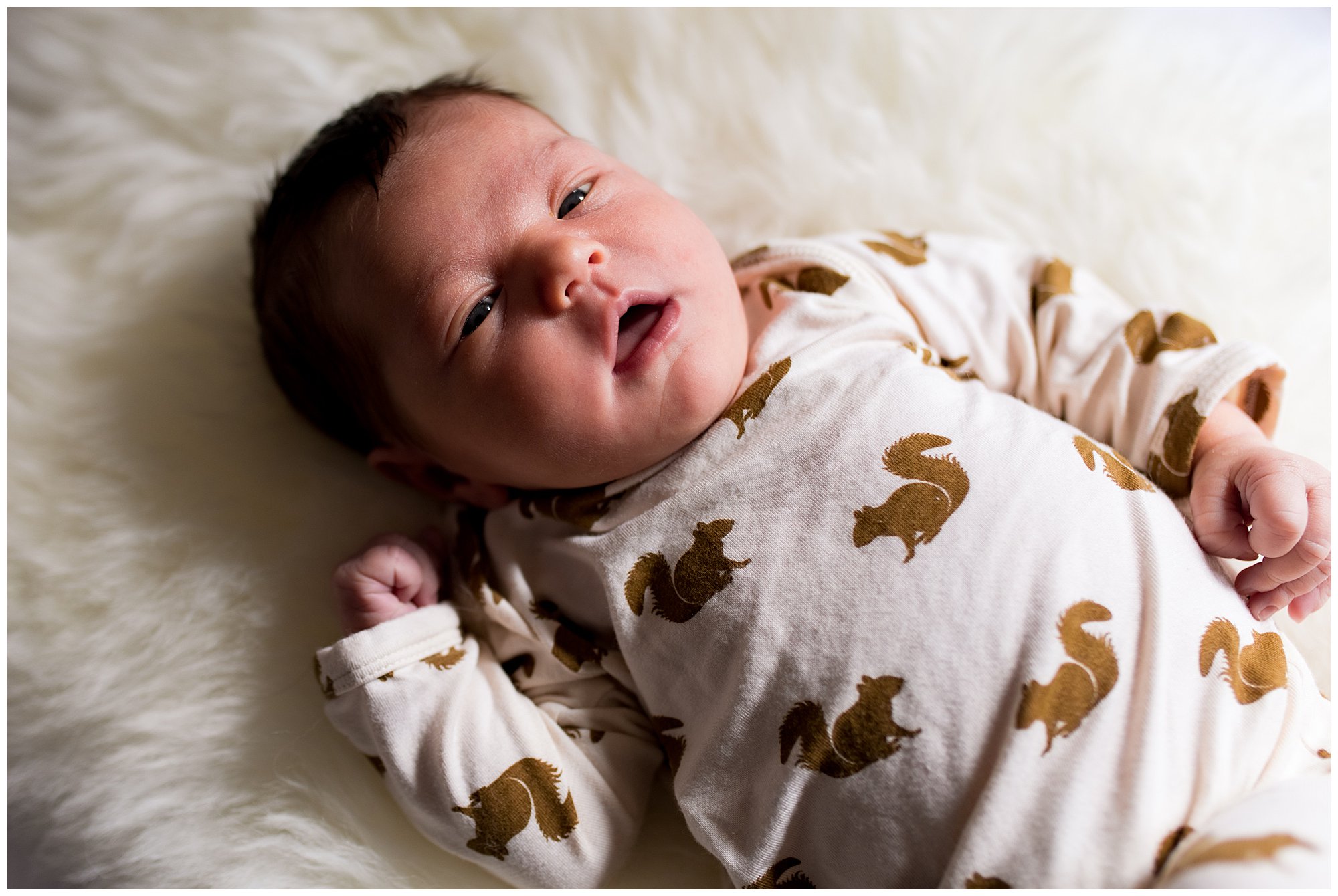 Indianapolis in home newborn session