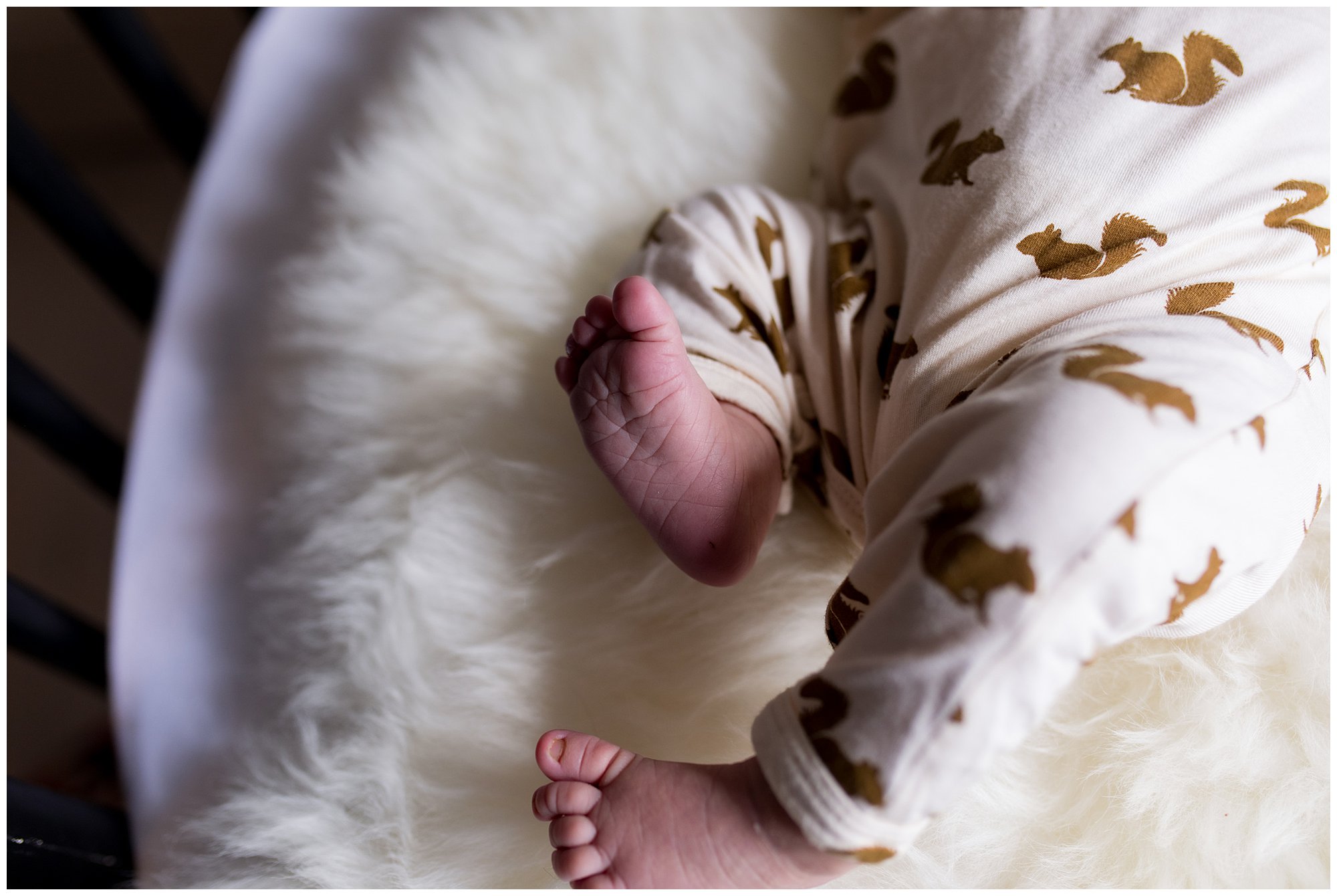 newborn feet during Indianapolis newborn session