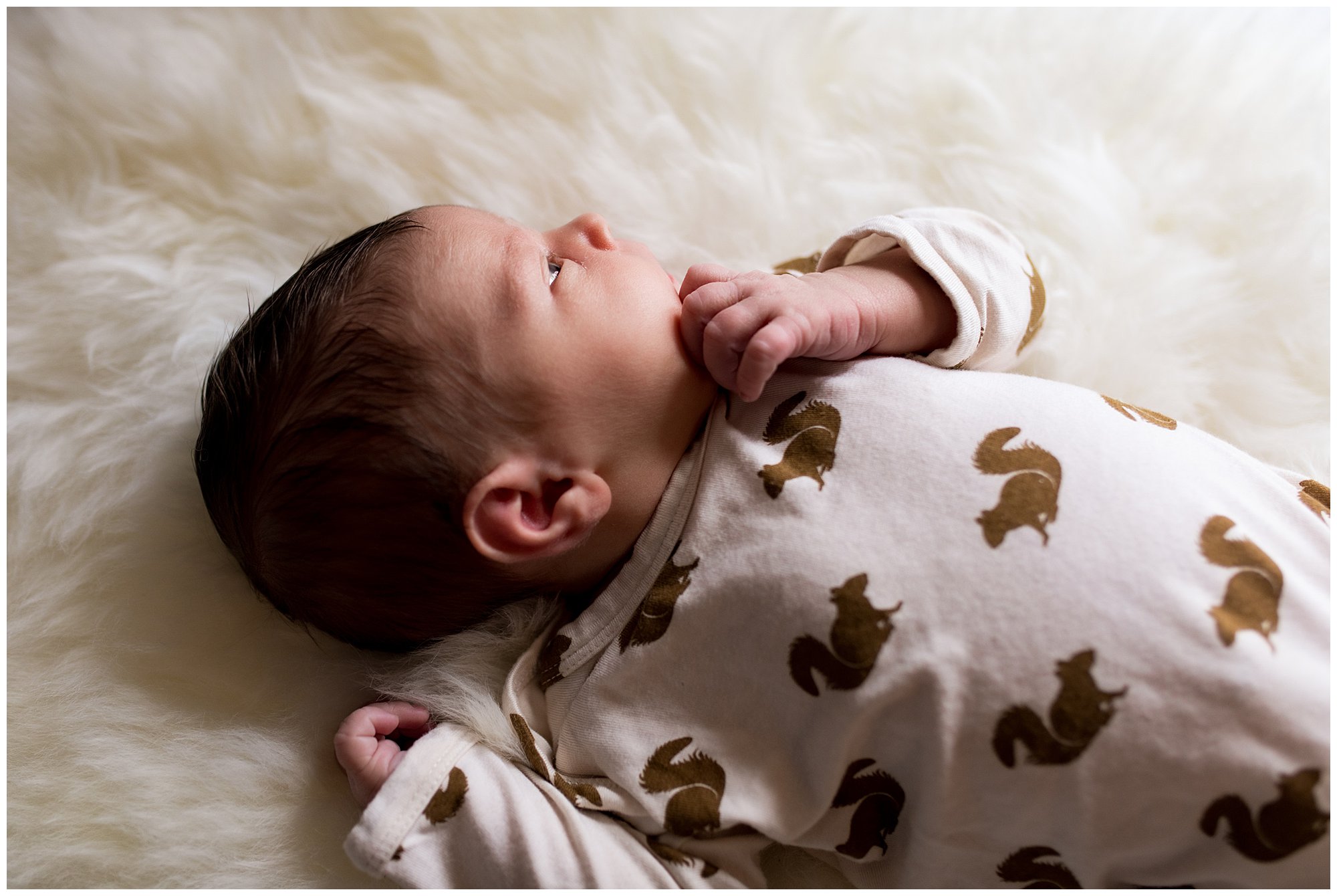 Indianapolis in-home newborn session
