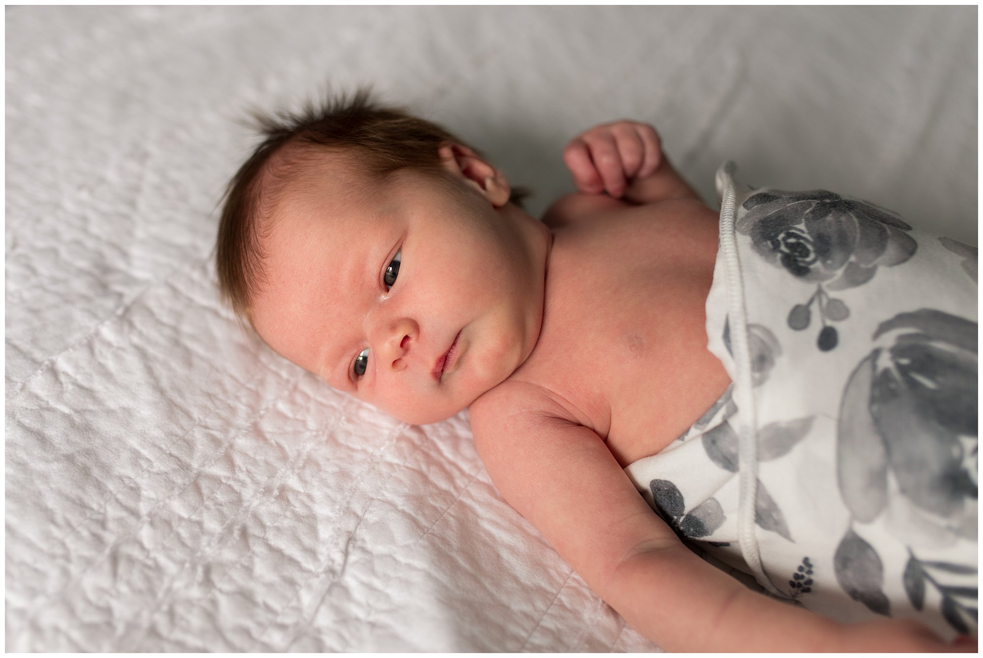 newborn session in home in Columbus Indiana