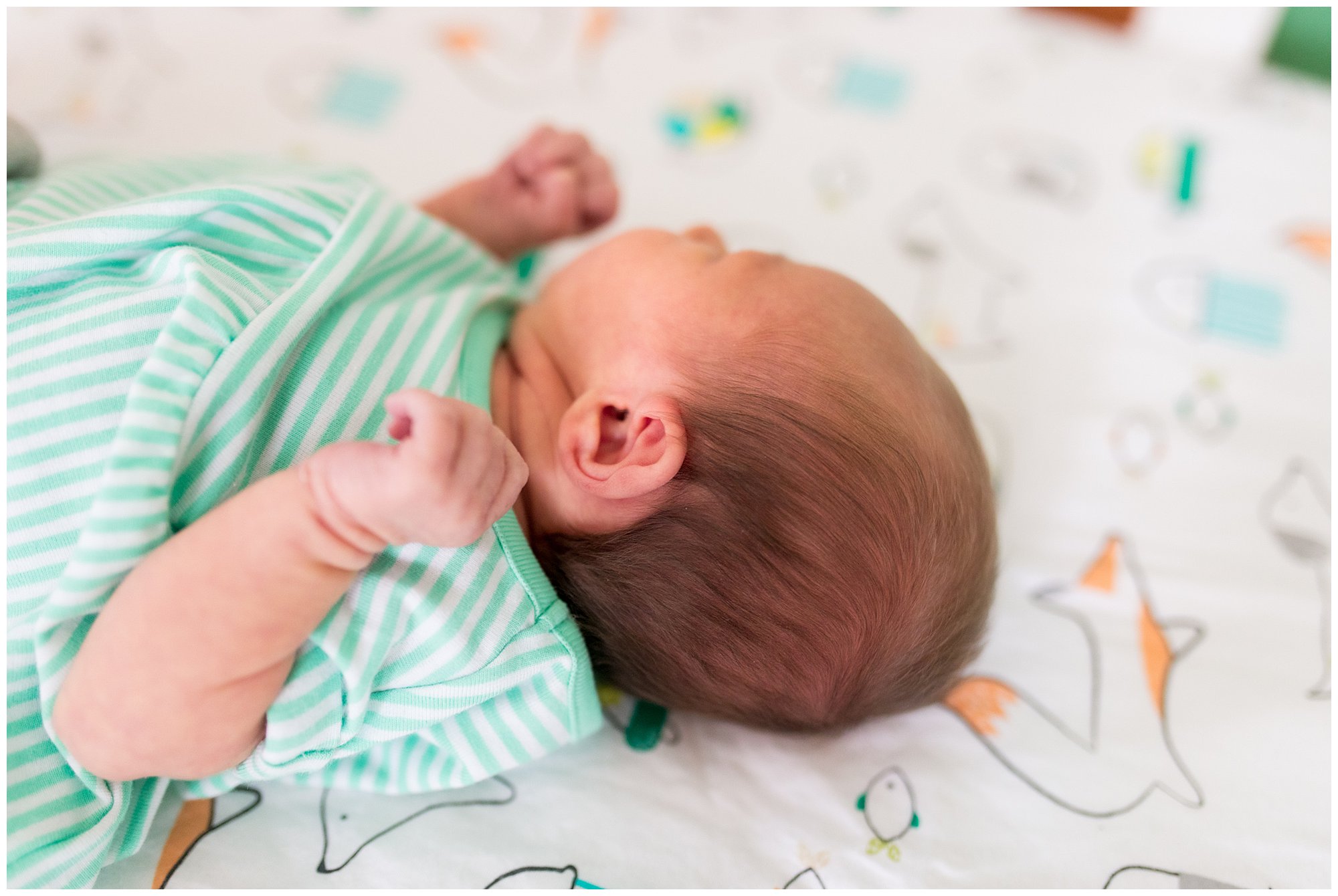 profile shot of newborn baby with ear detail